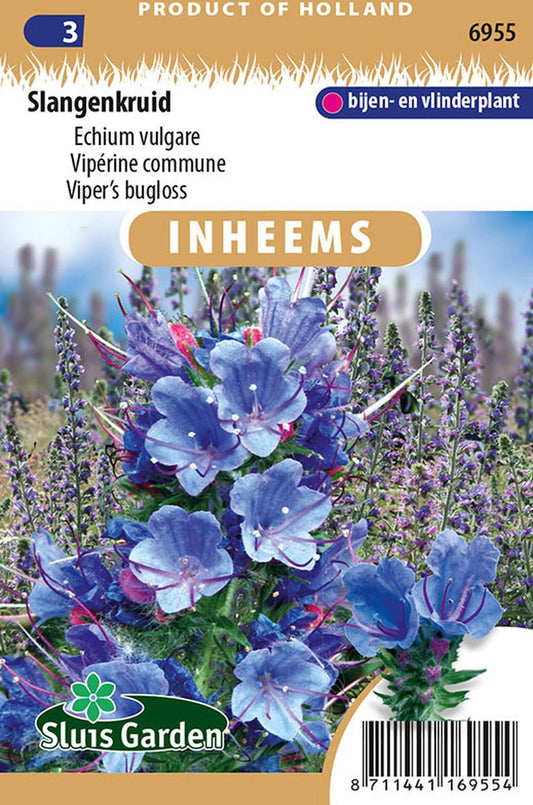  Sluis Garden - Inheemse Bloemenzaden - Slangenkruid - Geproduceerd In Nederland