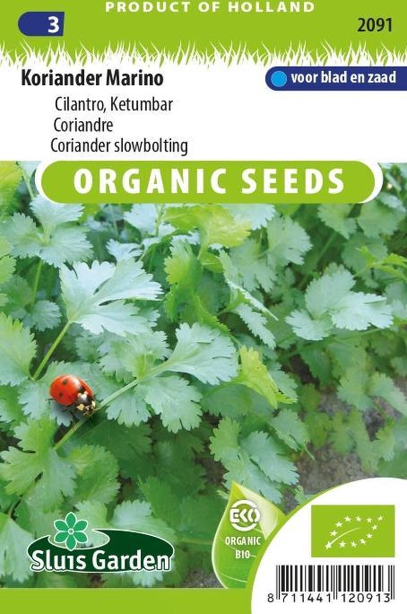  Sluis Garden - Koriander Marino Biologisch (Coriandrum Sativum)