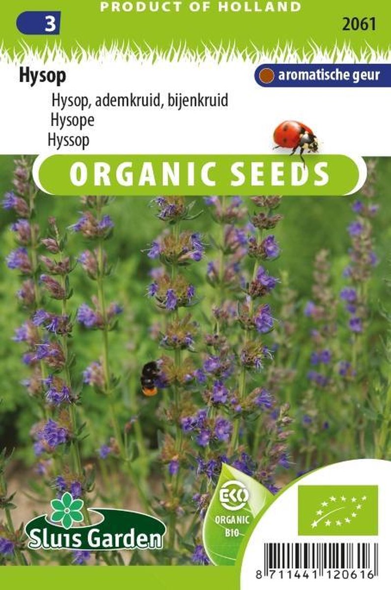  Sluis Garden - Hysop Biologisch (Hyssopus Officinalis)