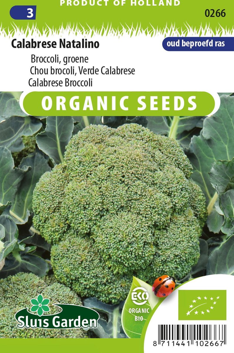  Sluis Garden - Broccoli Calabrese Natalino BIO