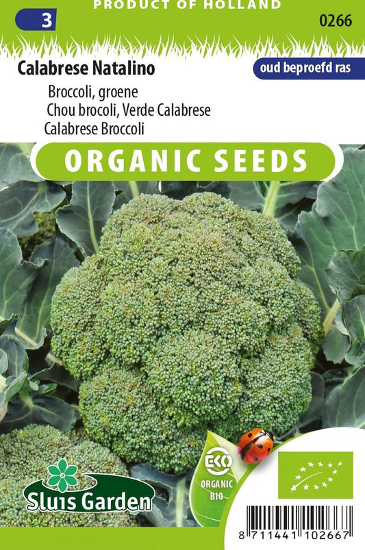 Sluis Garden - Broccoli Calabrese Natalino BIO