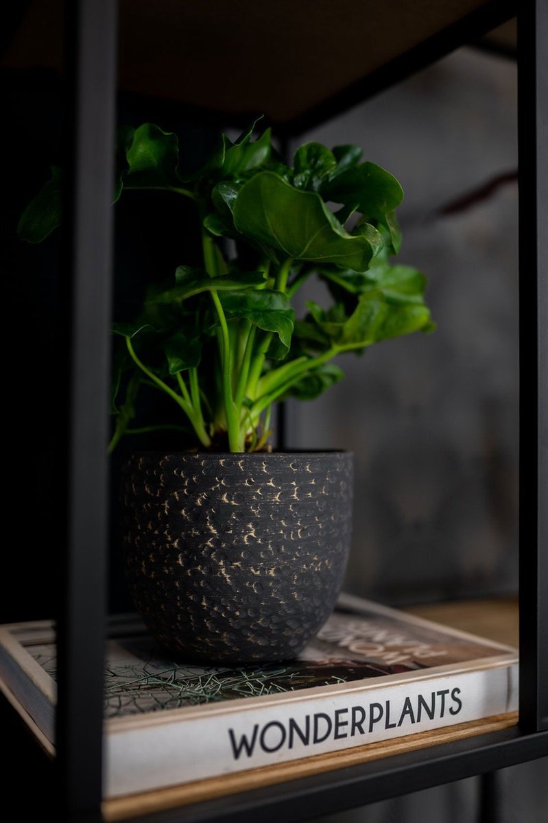  Plantenpot/Bloempot In Het Lava-look Zwart Dia 15 Cm En Hoogte 13 Cm - Voor Binnen
