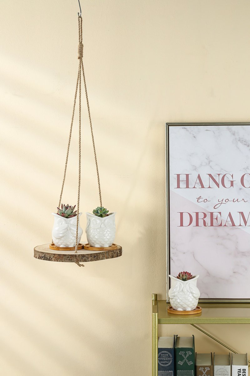  Set Van 2 Boomstam Rond Wandrek Plantenhangers - Boho Jute Houten Plantenrek - Hangpot Voor Binnen/Buiten - Hangende Bloempot Plank - Hangplant Houder - Bohemian Macrame Stijl Wandhanger - Hangplank Plant Hanger - Planthanger - Ø Rond 25-20cm