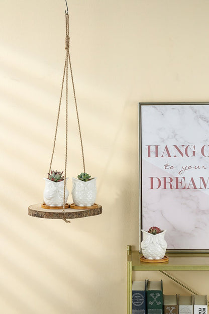  Set Van 2 Boomstam Rond Wandrek Plantenhangers - Boho Jute Houten Plantenrek - Hangpot Voor Binnen/Buiten - Hangende Bloempot Plank - Hangplant Houder - Bohemian Macrame Stijl Wandhanger - Hangplank Plant Hanger - Planthanger - Ø Rond 25-20cm