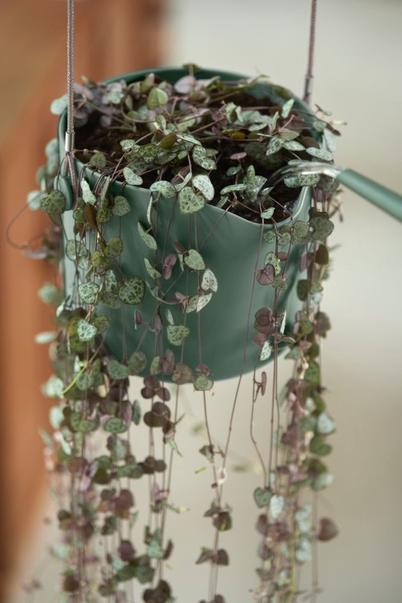 Elho B.for Swing 18 Hangpot - Bloempot Voor Binnen - Ø 18.0 X H 16.5 Cm - Groen/Blad Groen