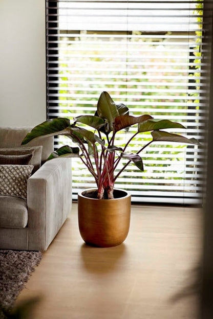  Capi Europe - Bloempot Bol Retro XL - 42x41 - Goud - Bloempot Voor Binnen - Opening ⌀36 - RTG933