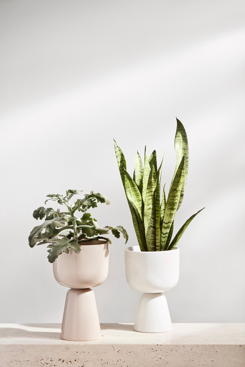  Iittala Nappula - Bloempot - Bloempotten Voor Binnen En Buiten - Plantenpotten - Wit - 230 X 155 Mm - 1 Stuk