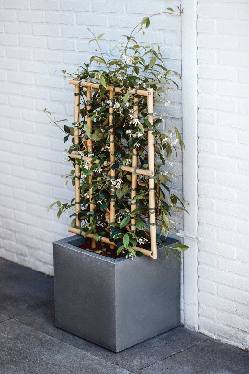  Capi Europe - Bloempot Vierkant Smooth NL - 50x50x50 - Zwart - Voor Binnen En Buiten - KBL904