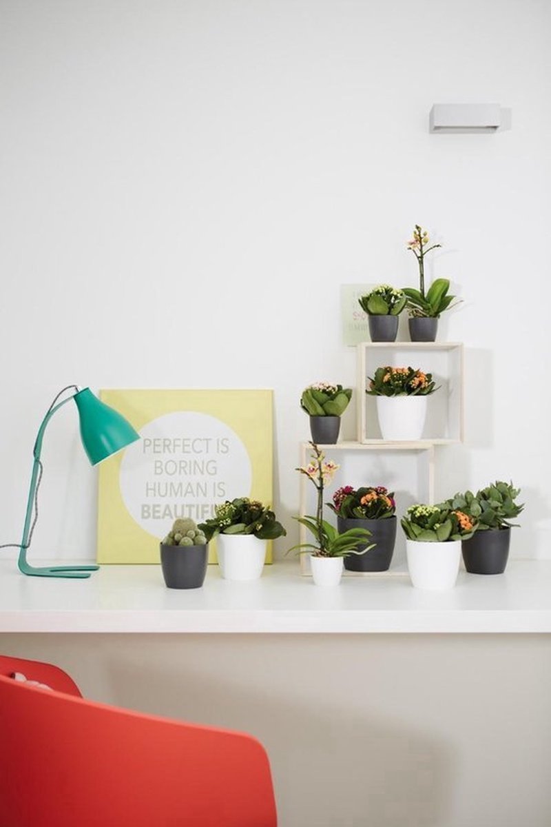  Elho B.for Soft Rond 35 - Bloempot Voor Binnen - Ø 34.5 X H 32.3 Cm - Antraciet