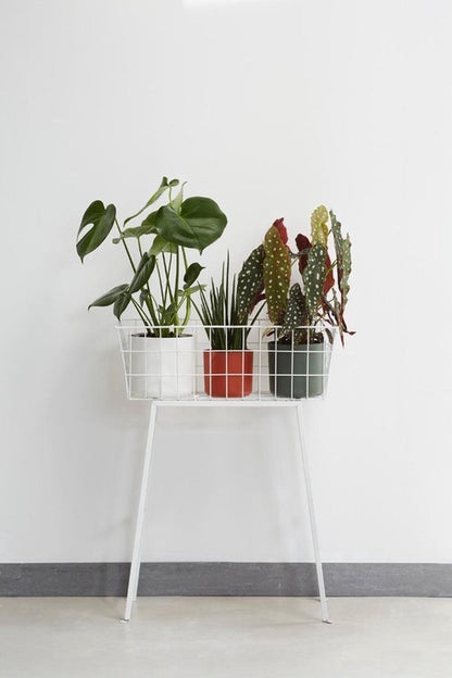  Elho B.for Soft Rond 25 - Bloempot Voor Binnen - Ø 24.7 X H 23.3 Cm - Antraciet
