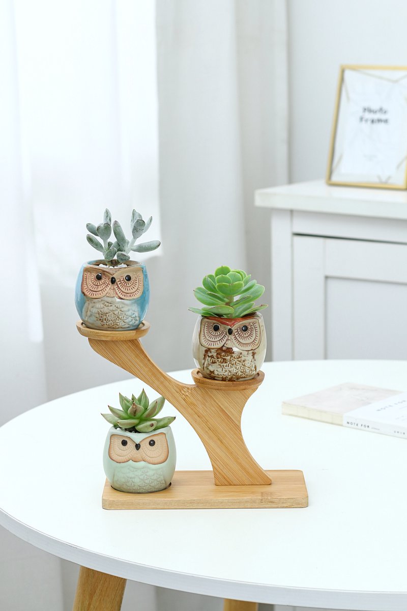  Luxe Bamboe Houten Boom Met 3 Keramiek Uil Bloempotten/Plantenpotten Op Standaard/Voet Voor Binnen En Buiten - Modern Design Bloempot/Plantenpot Op Poten/Pootjes-Plantenbak Mini Cactus Nep Plant Pot Houder - Kleine Bloembakken Plantenrek/Plantenkurk