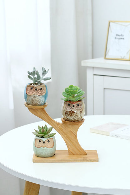  Luxe Bamboe Houten Boom Met 3 Keramiek Uil Bloempotten/Plantenpotten Op Standaard/Voet Voor Binnen En Buiten - Modern Design Bloempot/Plantenpot Op Poten/Pootjes-Plantenbak Mini Cactus Nep Plant Pot Houder - Kleine Bloembakken Plantenrek/Plantenkurk