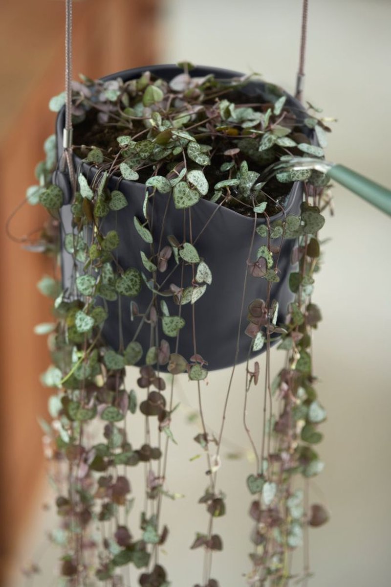  Elho B.for Swing 18 Hangpot - Bloempot Voor Binnen - Ø 18.0 X H 16.5 Cm - Zwart/Antraciet