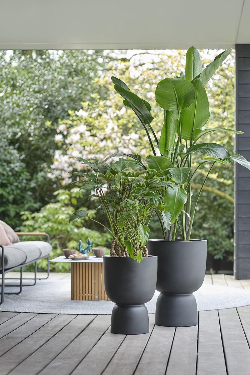  Elho Pure Coupe 35 - Bloempot Voor Binnen &amp; Buiten - Ø 34.9 X H 49.0 Cm - Zwart/Zwart