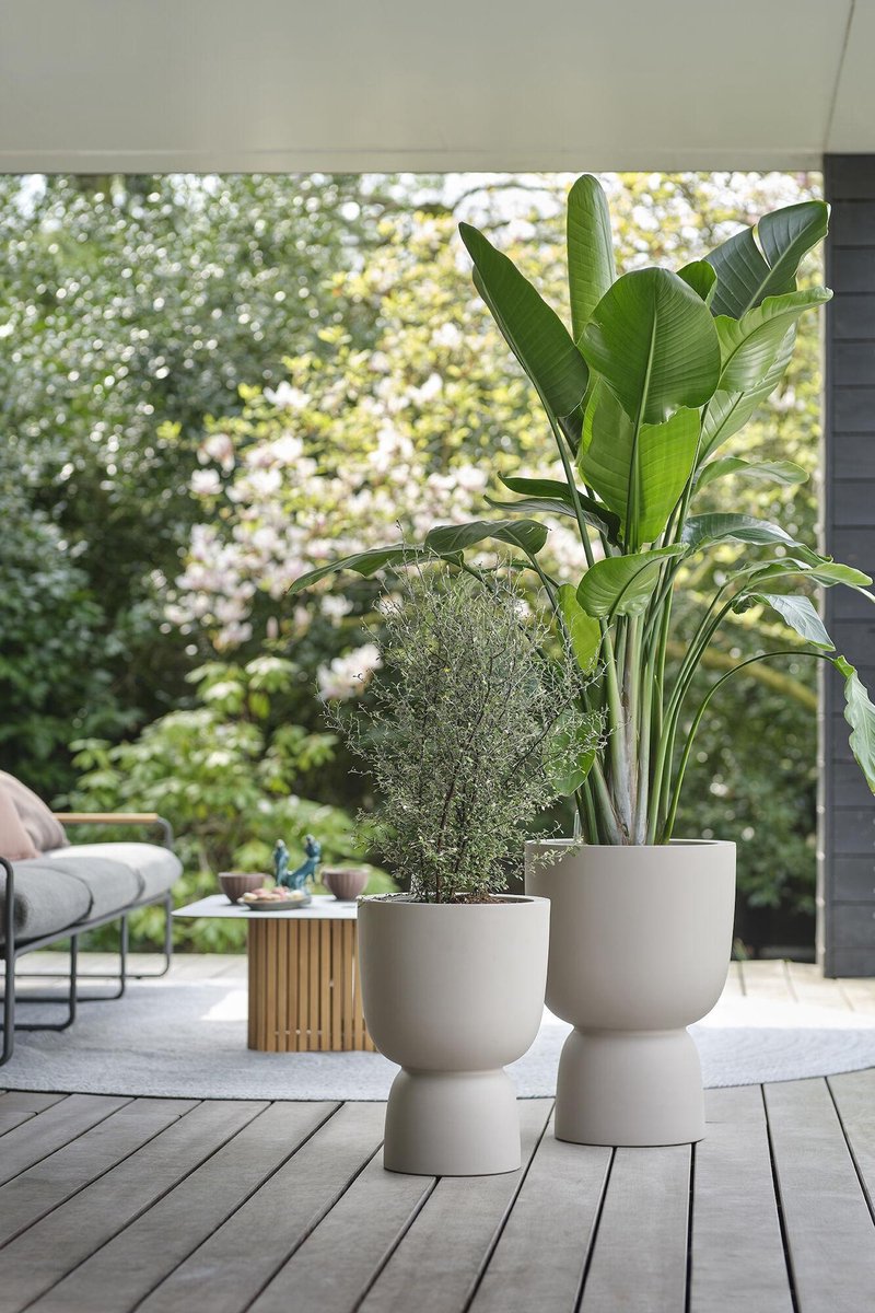  Elho Pure Coupe 35 - Bloempot Voor Binnen &amp; Buiten - Ø 34.9 X H 49.0 Cm - Beige/Balanced Beige