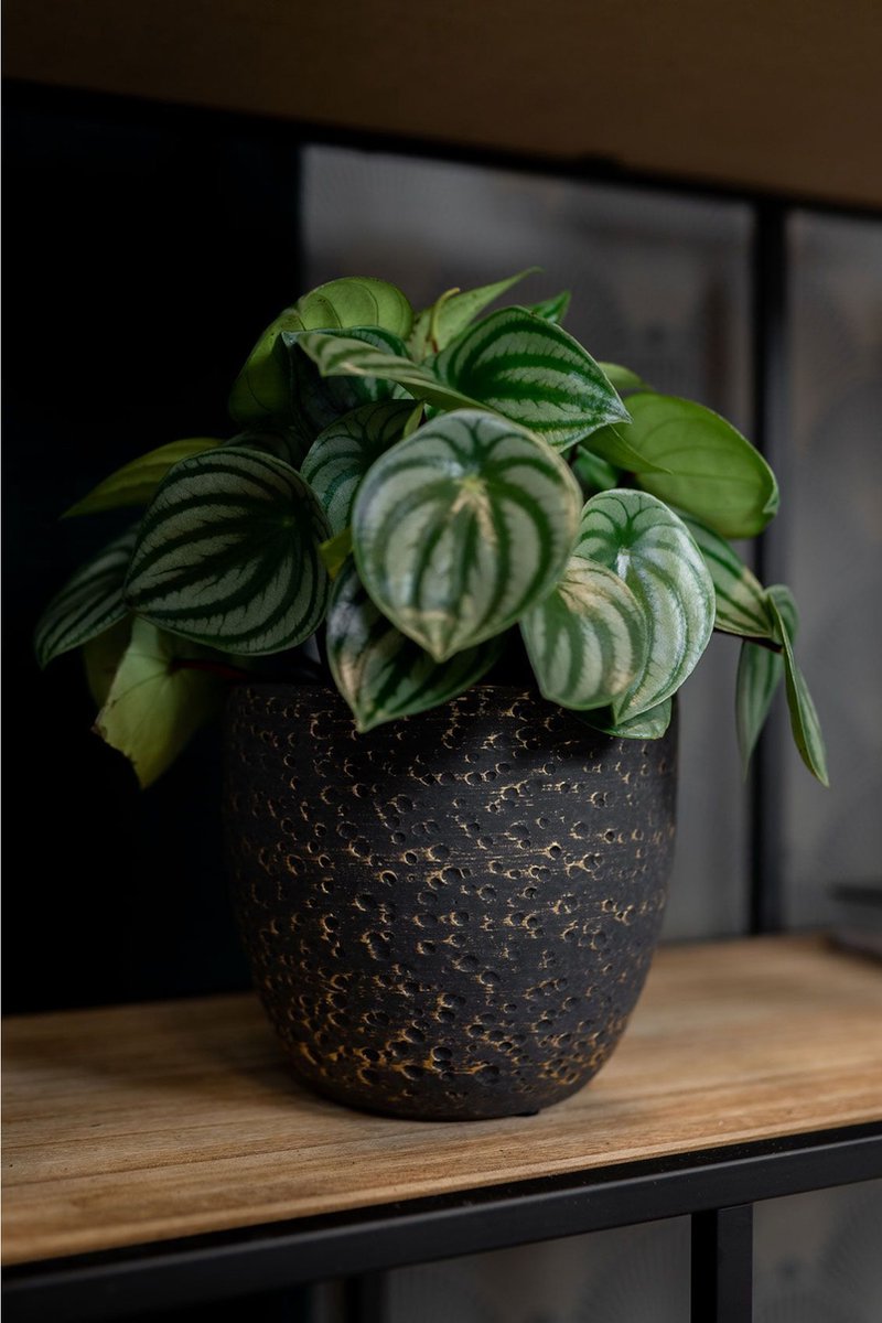  Plantenpot/Bloempot In Het Lava-look Zwart Dia 15 Cm En Hoogte 13 Cm - Voor Binnen
