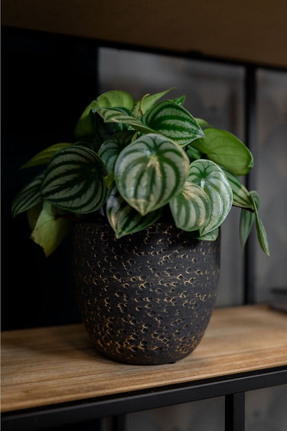  Plantenpot/Bloempot In Het Lava-look Zwart Dia 15 Cm En Hoogte 13 Cm - Voor Binnen