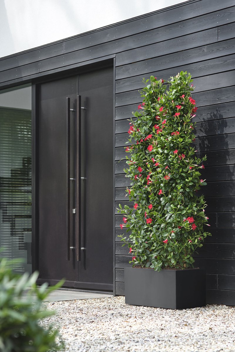  Elho Vivo Next Lang 60 - Bloempot Voor Binnen &amp; Buiten - Ø 59.0 X H 29.2 Cm - Zwart/Living Black