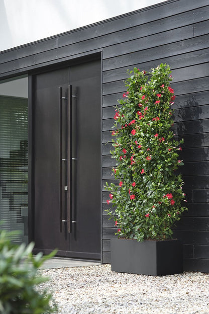  Elho Vivo Next Lang 60 - Bloempot Voor Binnen &amp; Buiten - Ø 59.0 X H 29.2 Cm - Zwart/Living Black