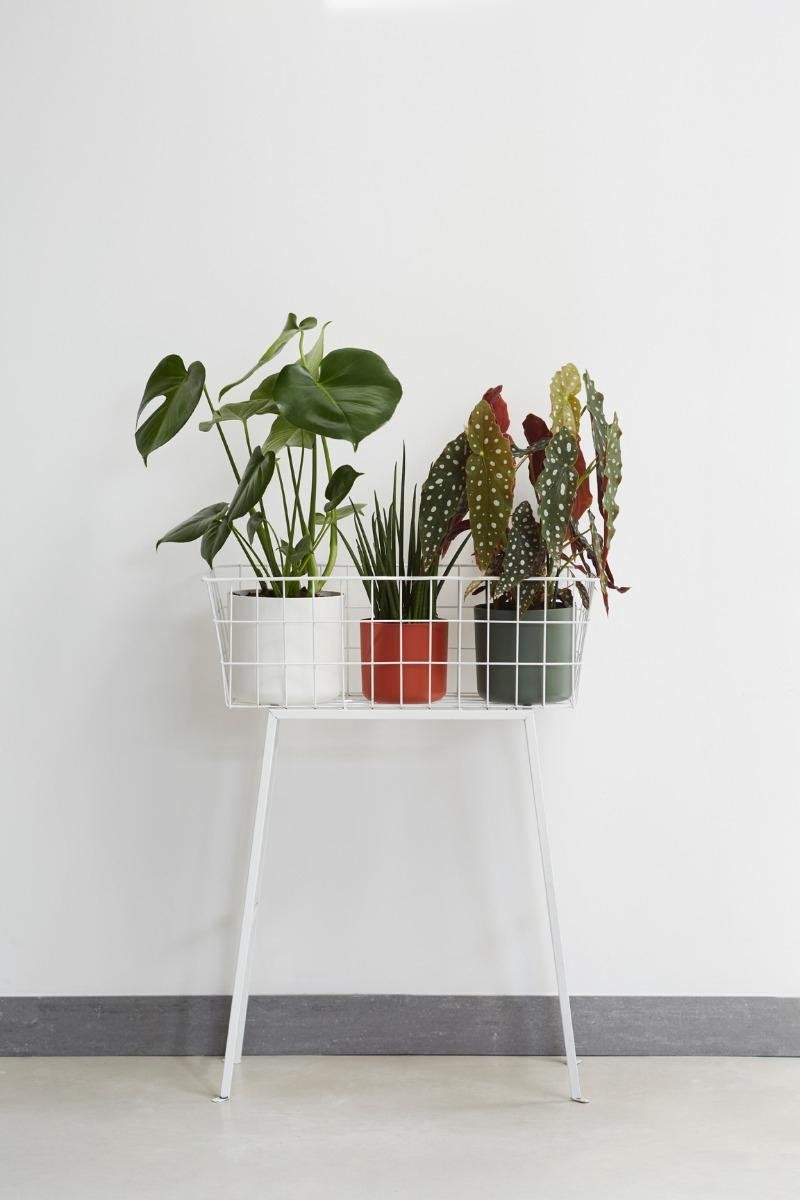  Elho B.for Soft Rond 25 - Bloempot Voor Binnen - Ø 24.7 X H 23.3 Cm - Antraciet