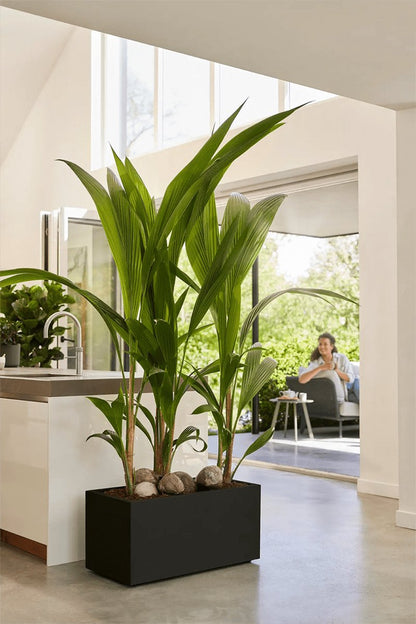  Elho Vivo Next Lang 60 - Bloempot Voor Binnen &amp; Buiten - Ø 59.0 X H 29.2 Cm - Zwart/Living Black