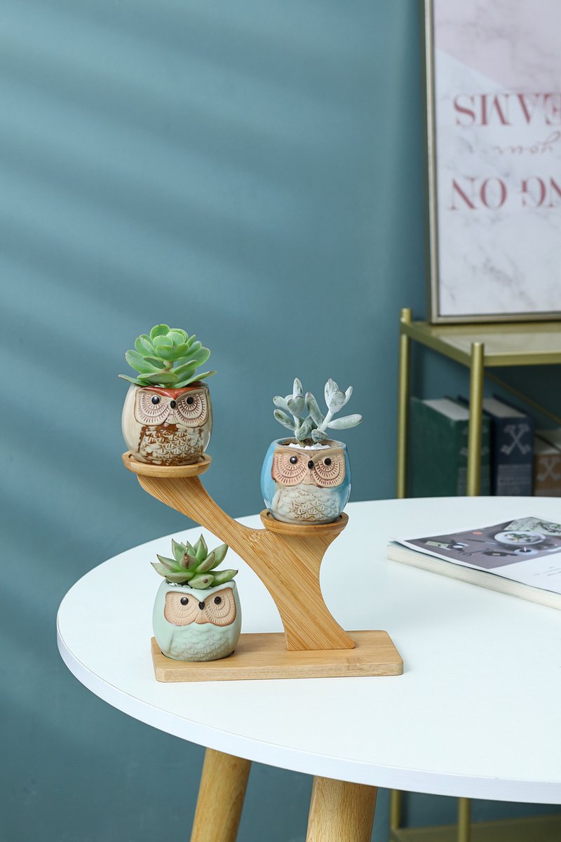  Luxe Bamboe Houten Boom Met 3 Keramiek Uil Bloempotten/Plantenpotten Op Standaard/Voet Voor Binnen En Buiten - Modern Design Bloempot/Plantenpot Op Poten/Pootjes-Plantenbak Mini Cactus Nep Plant Pot Houder - Kleine Bloembakken Plantenrek/Plantenkurk