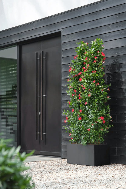  Elho Vivo Next Lang 60 - Bloempot Voor Binnen &amp; Buiten - Ø 59.0 X H 29.2 Cm - Zwart/Living Black