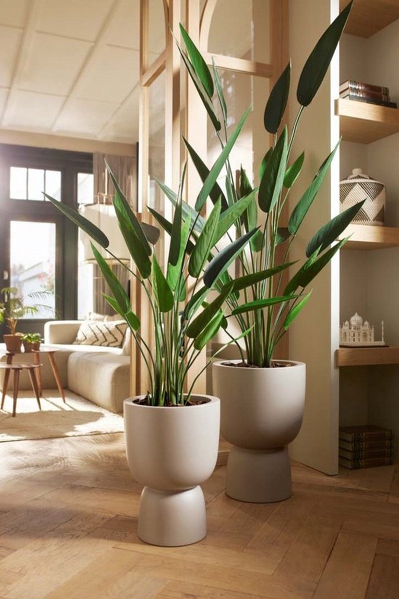  Elho Pure Coupe 41 - Bloempot Voor Binnen &amp; Buiten - Ø 41.3 X H 57.9 Cm - Beige/Balanced Beige