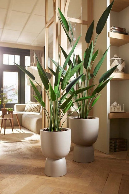  Elho Pure Coupe 41 - Bloempot Voor Binnen &amp; Buiten - Ø 41.3 X H 57.9 Cm - Beige/Balanced Beige