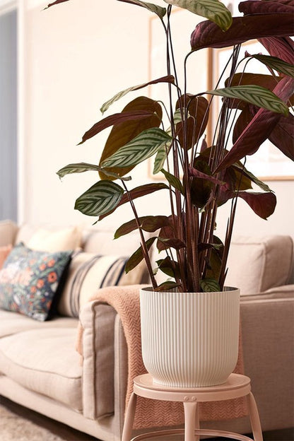  Elho Vibes Fold Rond 30 - Bloempot Voor Binnen - Ø 29.5 X H 27.2 Cm - Zijdewit