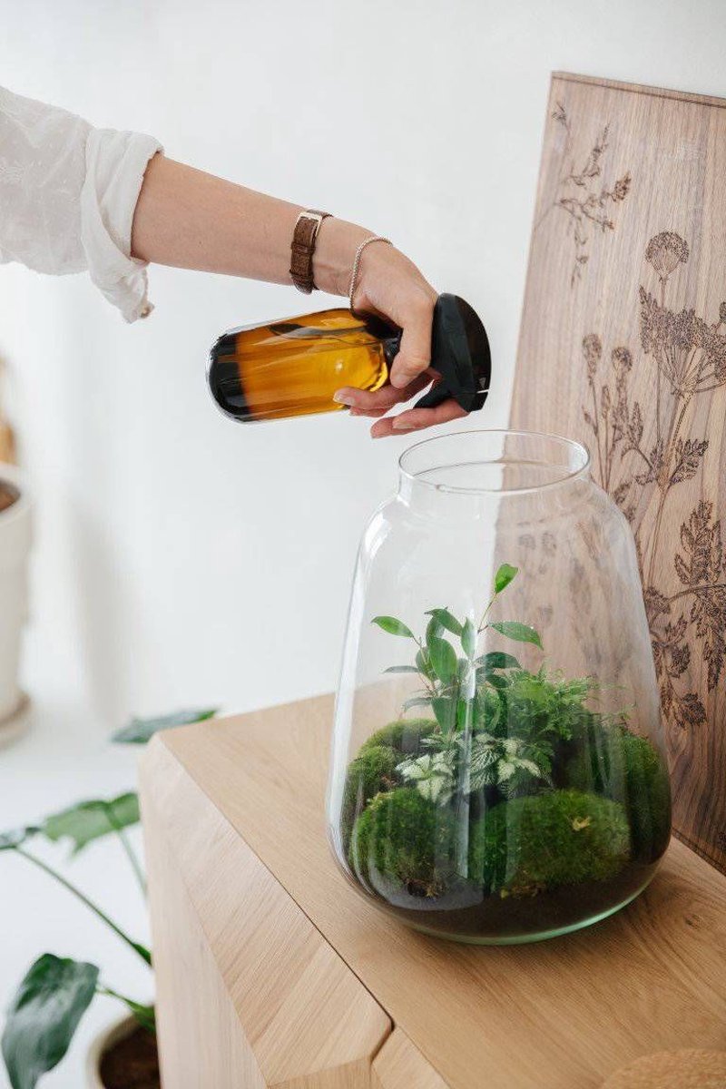  24DOTS Living Plantenspuit | 500 Ml Bruin Amber Glas | Plantensproeier | Plantenspuit Binnen | Waterverstuiver | Vernevelaar