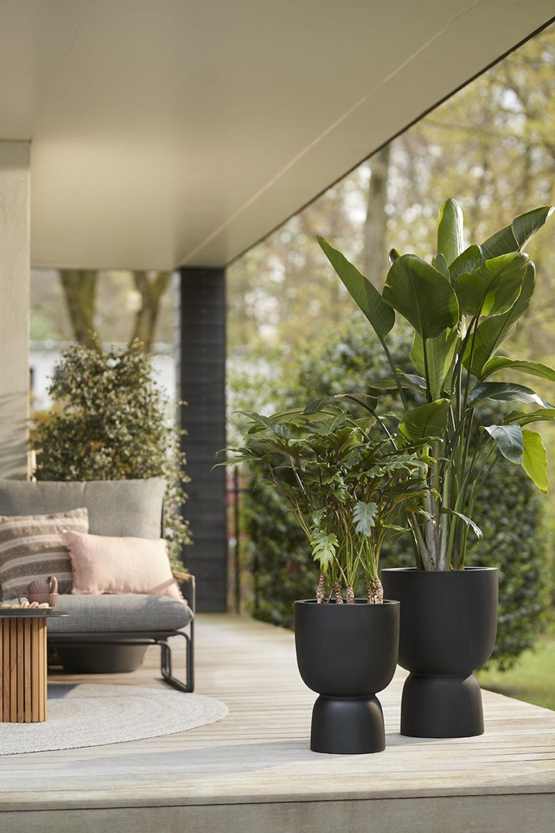  Elho Pure Coupe 35 - Bloempot Voor Binnen &amp; Buiten - Ø 34.9 X H 49.0 Cm - Zwart/Zwart