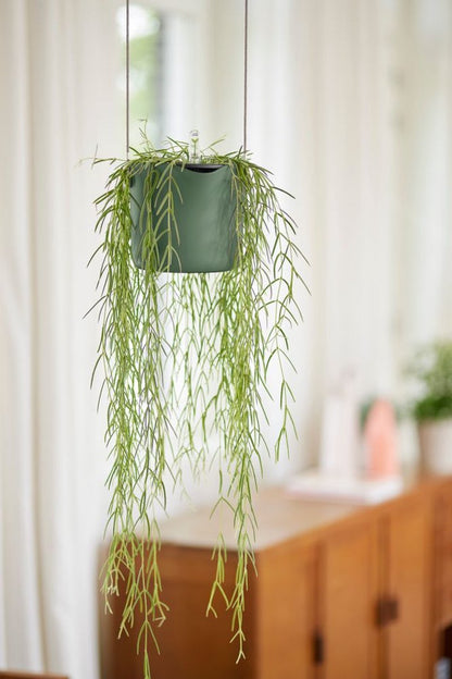  Elho B.for Swing 18 Hangpot - Bloempot Voor Binnen - Ø 18.0 X H 16.5 Cm - Groen/Blad Groen