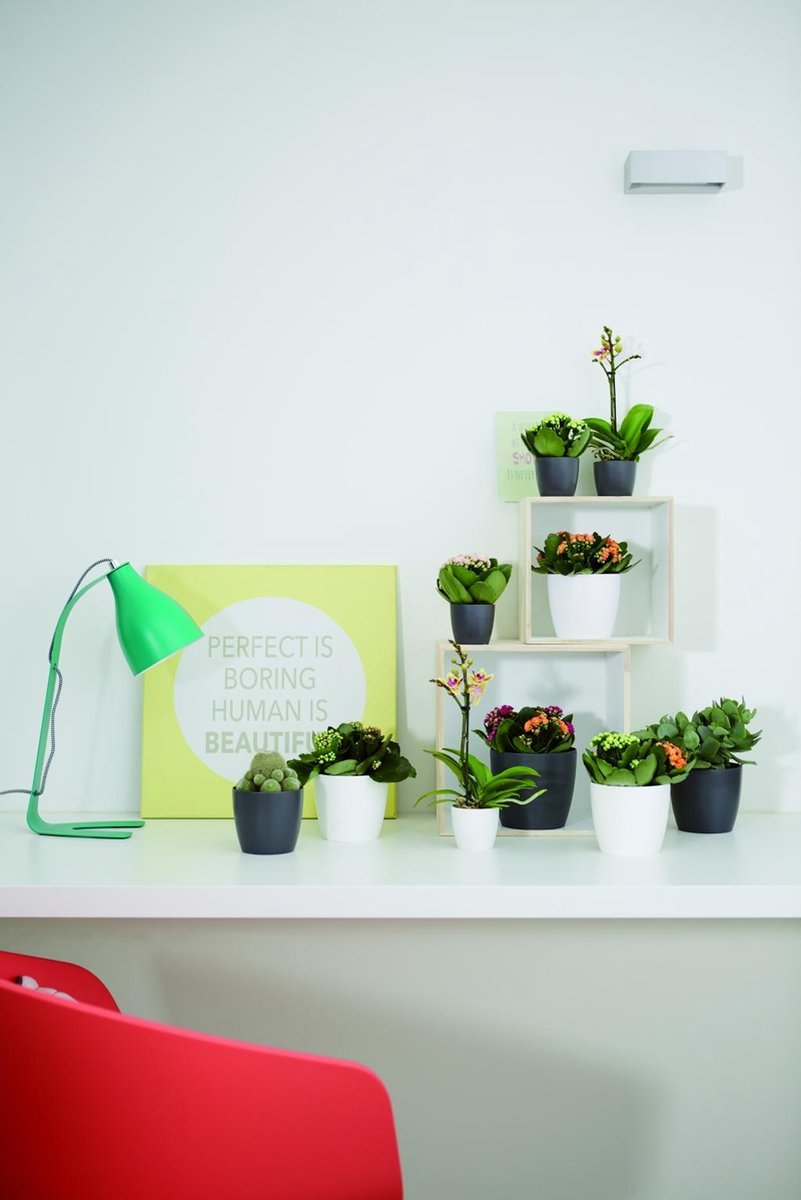  Elho Brussels Rond Mini 7 - Bloempot Voor Binnen - Ø 6.7 X H 6.0 Cm - Zwart/Antraciet