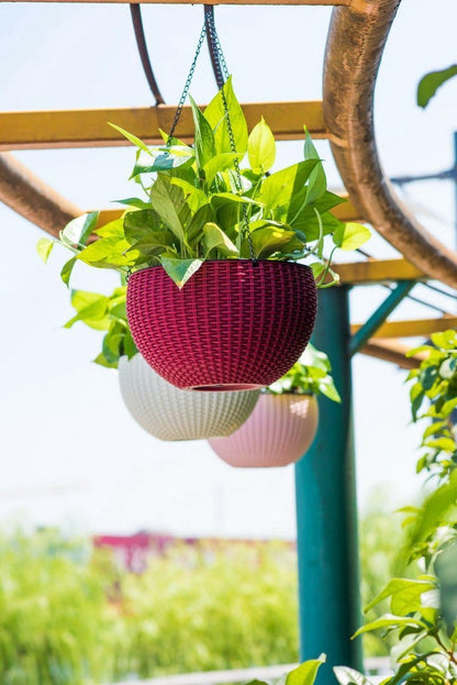  Hangpot Kunststof – Bloempot Hangend – Binnen &amp; Buiten- Plantenhanger –Incl. Afvoerstop – 26 Cm - Zwart