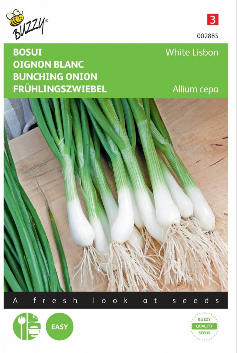  Buzzy Zaden - Bosuien White Lisbon (Allium)