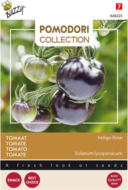  Buzzy Pomodori Tomaat Indigo Rose (zwart)