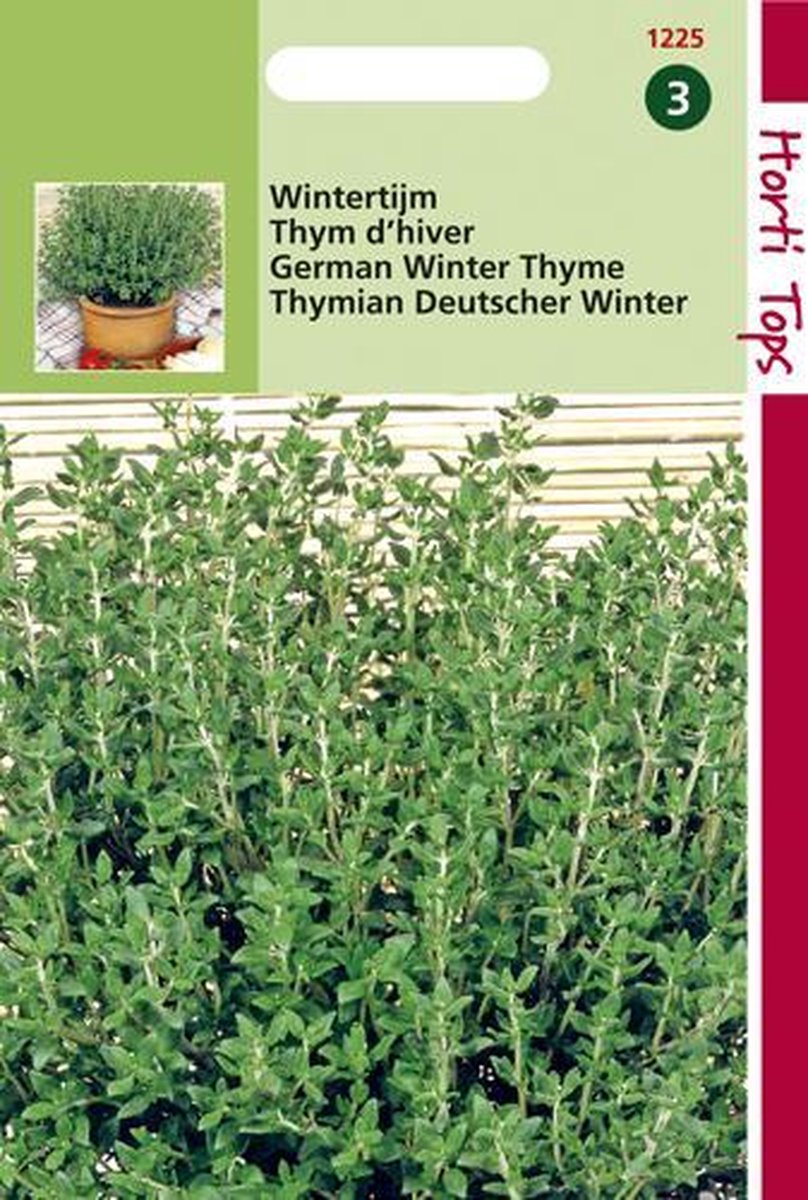  Hortitops Zaden - Tijm, Echte Winter (Thymus Vulgaris)
