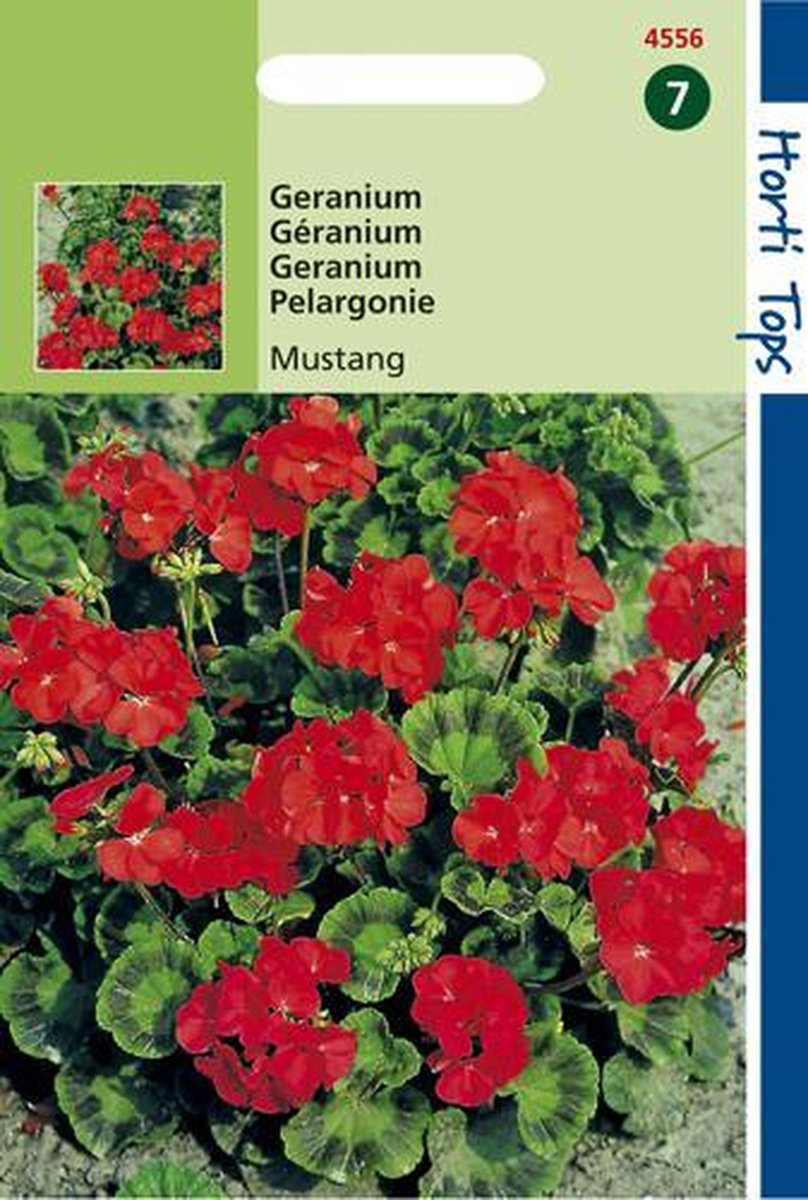  Hortitops Zaden - Geranium Bloemzaad - Mustang - Kersrood