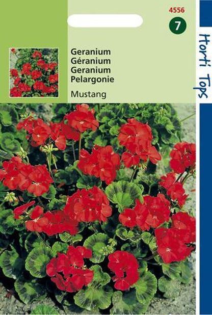  Hortitops Zaden - Geranium Bloemzaad - Mustang - Kersrood