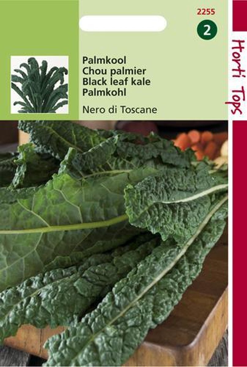  Hortitops Zaden - Palmkool Nero Di Toscane