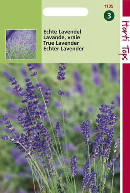  Hortitops - Echte Lavendel - Lavandula Officinalis