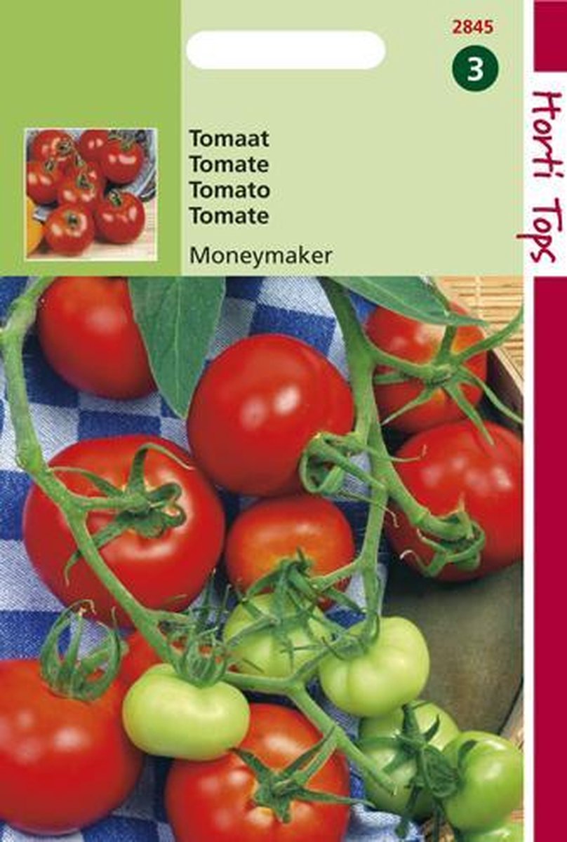  Hortitops Zaden - Tomaten Moneymaker