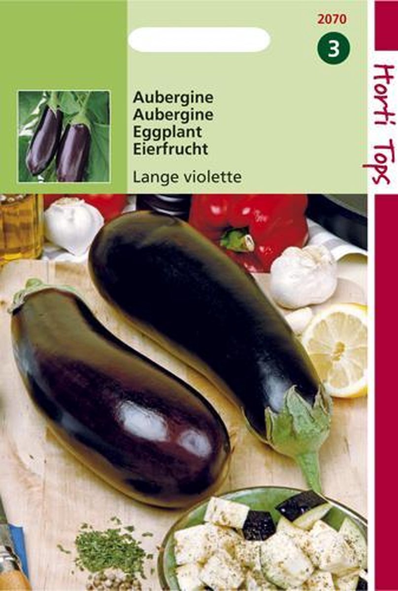  Hortitops Zaden - Aubergine Halflange Violette