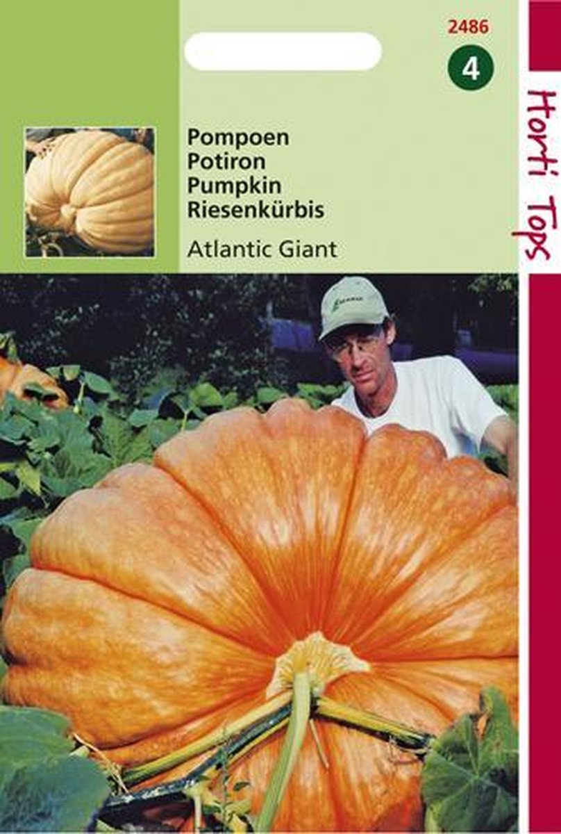  Hortitops Zaden - Pompoenen Atlantic Giant