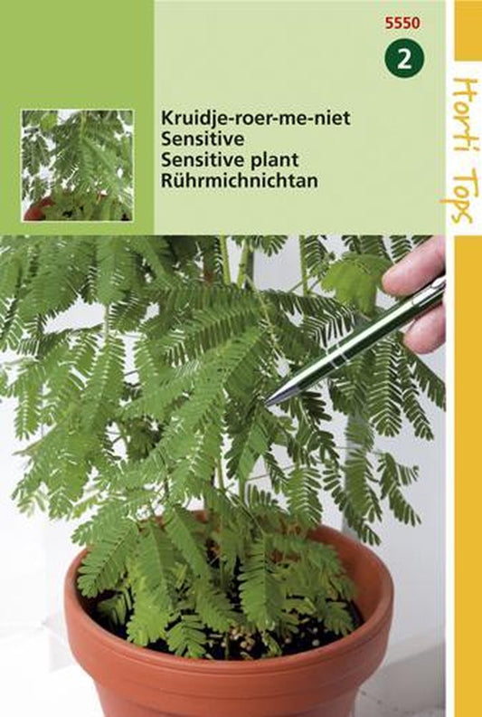  Hortitops Zaden - Mimosa Pudica (Kruidje-Roer-Me-Niet)