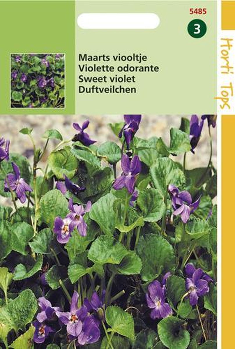 Hortitops Maarts Viooltje Bloemzaad - Viola Odorata