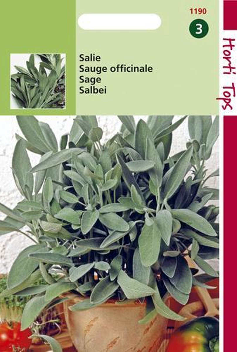  Hortitops Zaden - Salie