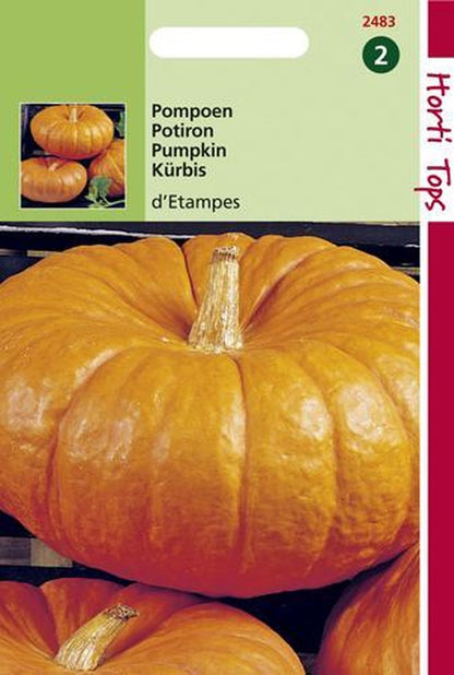  Hortitops Zaden - Pompoenen Rode Van Etampes