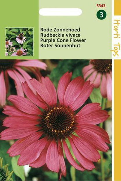  Hortitops Rode Zonnehoed Echinacea Purpurea